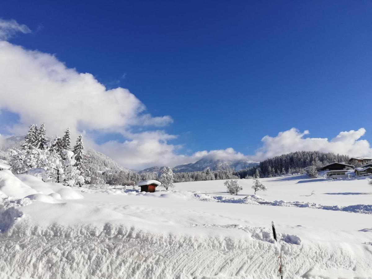 Pension Sonneck Pfarrwerfen Esterno foto